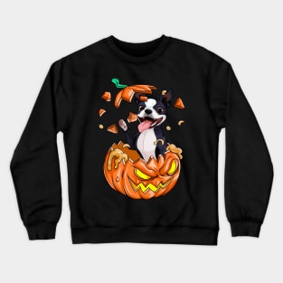 Boston Terrier In The Pumpkin tshirt halloween costume funny gift t-shirt Crewneck Sweatshirt